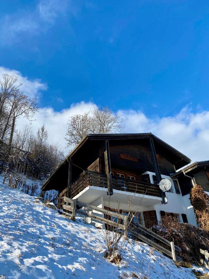 Chalet Amwaeg 피쉬 외부 사진